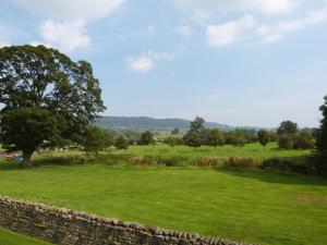 a field with a tree and a stone wall at The Bothy in Leyburn