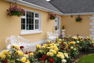 Gallery image of Wayside B&B V93XK6C in Beaufort