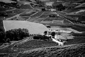 Apgyvendinimo įstaigos Agriturismo Cascina Sciulun vaizdas iš viršaus