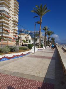 un marciapiede con una palma su una spiaggia di APARTAMENTO 1 LINEA SAN JUAN DE ALICANTE a El Campello