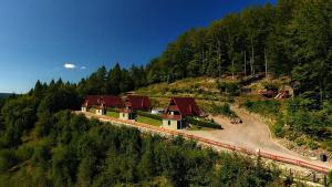 a train on the tracks on a hill with trees at Domki Beskid in Rzyki