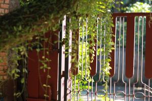 Fotografie z fotogalerie ubytování Boutique House Nipha v destinaci Chiang Mai