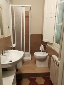 La salle de bains est pourvue d'un lavabo, de toilettes et d'une douche. dans l'établissement Lanfranchi deluxe apartament, à Pise