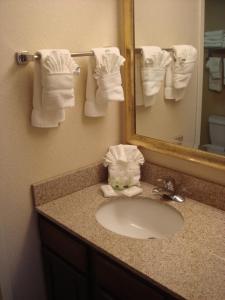 a bathroom with a sink and a mirror and towels at Staybridge Suites Indianapolis-Airport, an IHG Hotel in Plainfield