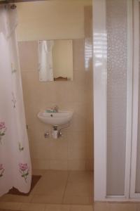 een badkamer met een wastafel, een spiegel en een douche bij Finjam Cottage in Port Antonio
