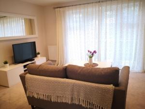 a living room with a couch and a tv at Reading New Luxury House Wz Garden&Parking by L&S in Reading