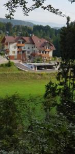 Příroda nedaleko apartmánu
