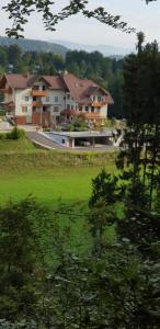 Příroda nedaleko apartmánu