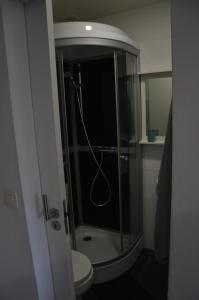 y baño con ducha, aseo y lavamanos. en Flat Sympa next Grand Place, en Bruselas