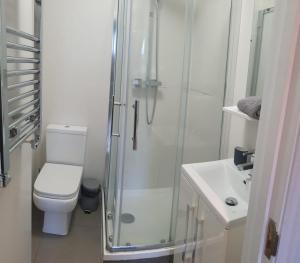 een badkamer met een douche, een toilet en een wastafel bij Stylish Studio Room in Brixton - E in Londen