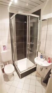 Een badkamer bij Apartment Weinsberg