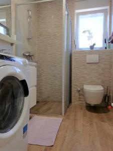 un bagno con lavatrice e WC di Apartment Vera Nin a Nin