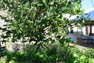 A garden outside I Casali della Parata