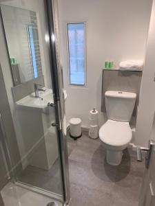 a bathroom with a toilet and a sink and a shower at The Falcon Hotel in Bridgnorth