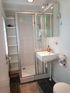 uma casa de banho com um chuveiro e um lavatório. em Zeeuwse Landhoeve em Brouwershaven