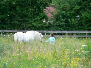 Le Noyer的住宿－LA PROVIDENCE，一只小女孩在田里骑着白马