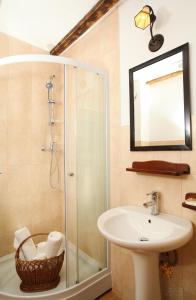 a bathroom with a sink and a shower at Casa Mosului - Transfăgărășan Bed & Breakfast in Cîrţişoara +61 photos