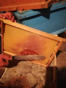 une personne tenant une ruche avec un couteau dans la ruche dans l'établissement Anush`s B&B, à Tatev