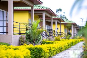 Garden sa labas ng Andasibe Lemurs Lodge