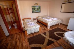 a room with two beds and a rug at Vila Tei GuestHouse in Târgu Jiu