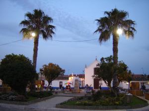 a group of palm trees in a park at night at Porto Covo / Costa Alentejana in Porto Covo