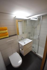 Studio bim Chalet bim Chilchli的一间浴室