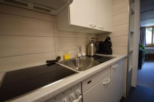 eine kleine Küche mit einer Spüle und einem Herd in der Unterkunft Studio bim Chalet bim Chilchli in Mürren