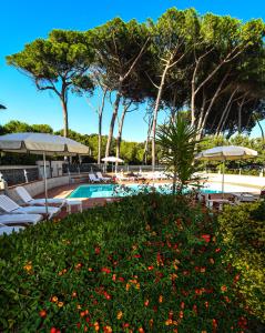 Gallery image of Hotel Kon Tiki in San Vincenzo