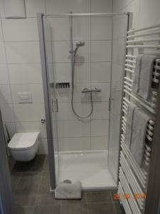 a bathroom with a shower and a toilet at Apartmenthaus Vogel in Neuhof