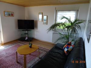 TV a/nebo společenská místnost v ubytování Ulmer Münster Blick