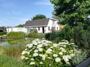 un jardín con flores blancas frente a una casa en Luxe Studio Bovenweg, en Rhenen