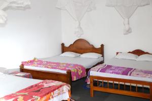 a room with two beds and two beds sidx sidx sidx at Ella Tea Land View in Ella +29 photos
