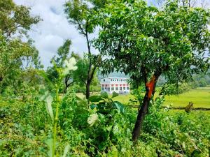 Gallery image of Shobha Farmhouse in Kashid