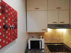 Apartamento Caldarésにあるキッチンまたは簡易キッチン