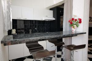 Kuchyň nebo kuchyňský kout v ubytování Apartments Kruna Jovanović