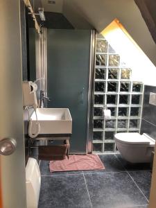 uma casa de banho com um lavatório e um WC em La table d’Auguste em Dour