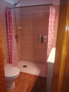 a bathroom with a shower curtain and a toilet at Casa cueva El perucho in Güimar