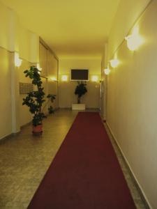 A television and/or entertainment centre at Star Hostel