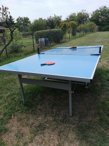 stół do ping ponga na polu z w obiekcie Laurus Vendéghàz w mieście Lovas