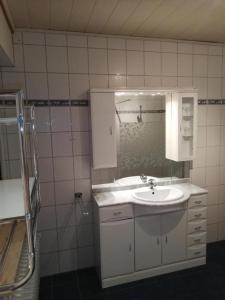 a bathroom with a sink and a mirror at Domizil & Dümmer in Lembruch