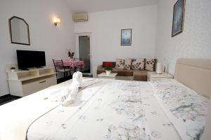TV a/nebo společenská místnost v ubytování Apartments Kruna Jovanović