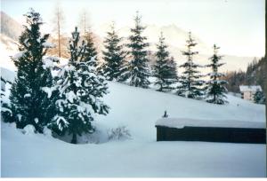 Haus Anna Jennewein en invierno