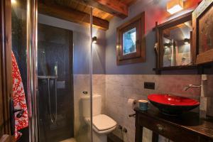 a bathroom with a shower and a toilet and a sink at Els Pins d'Abella in Camprodon