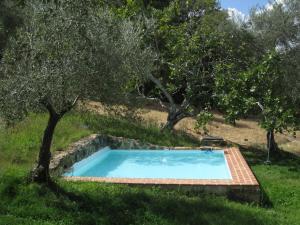 Bazén v ubytování Vivienda Rural Olivar del Chanza nebo v jeho okolí