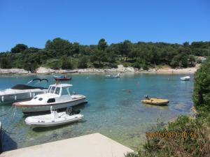 Fotografie z fotogalerie ubytování Apartments Marisa v destinaci Mali Lošinj