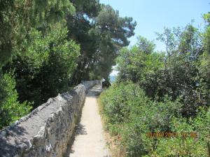 Fotografie z fotogalerie ubytování Apartments Marisa v destinaci Mali Lošinj