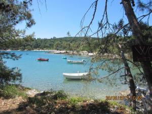 Fotografie z fotogalerie ubytování Apartments Marisa v destinaci Mali Lošinj