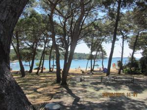 Fotografie z fotogalerie ubytování Apartments Marisa v destinaci Mali Lošinj