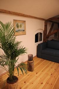 un salon avec un canapé bleu et une plante dans l'établissement Ferienwohnung Goldgrund Gartenblick, à Meissen