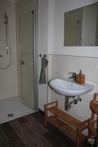 a bathroom with a sink and a shower at Ferienwohnung Goldgrund15 in Meißen